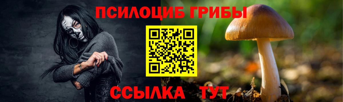 Псилоцибиновые грибы Magic Shrooms  Галлюциногенные грибы мухоморы  Вход с VPN  закладки  Среднеуральск 